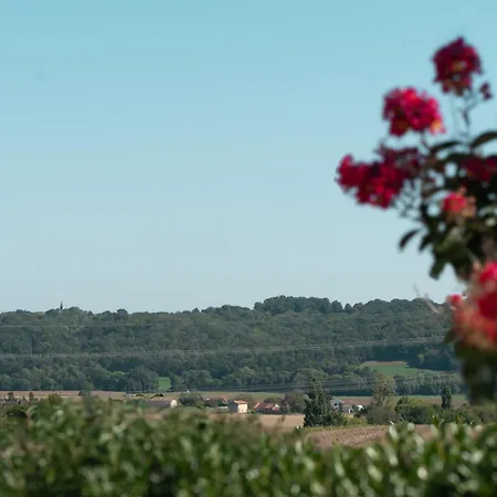 Maison Spacieuse Et Paisible A La Campagne בית נופש *