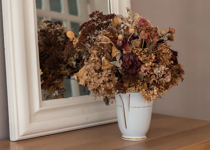 Maison Spacieuse Et Paisible A La Campagne Antin